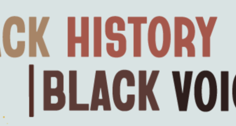 Black History, Black Voices logo