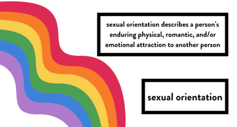 sexual orientation describes a person's enduring physical, romantic, and/or emotional attraction to another person